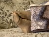 0162_0593.jpg
