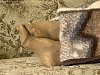 0162_0596.jpg
