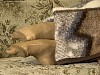 0162_0601.jpg