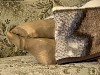 0162_0603.jpg