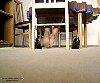 0178_0429.jpg