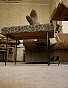0183_0791.jpg