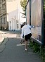 0185_0567.jpg